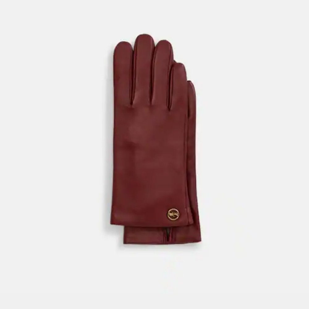 Coach gloves